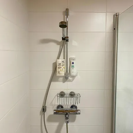 Tikkurila Neilikka - Near Airport * וואנטאה
